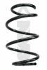 SPIDAN 86877 Coil Spring